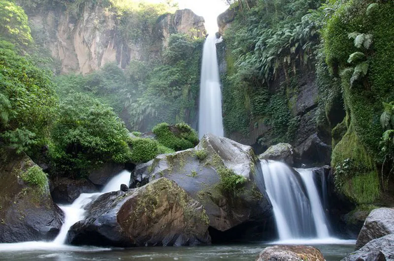 coban rondo